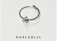 Stainless Steel rings