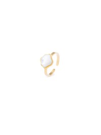 mother shell rings